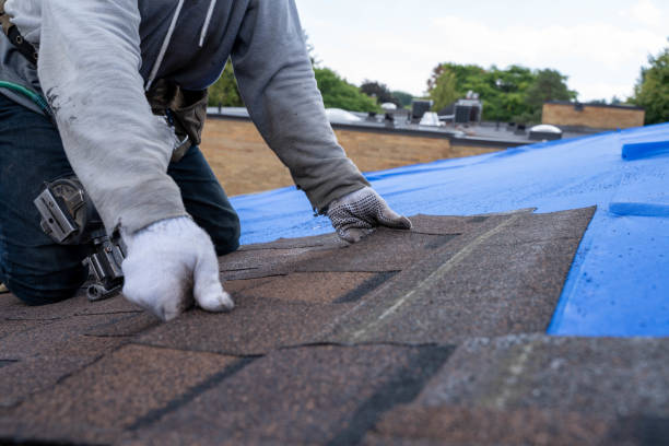 Best Shingle Roofing Installation  in Garden Plain, KS